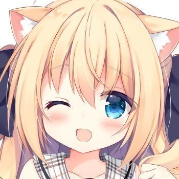 九条だんぼ